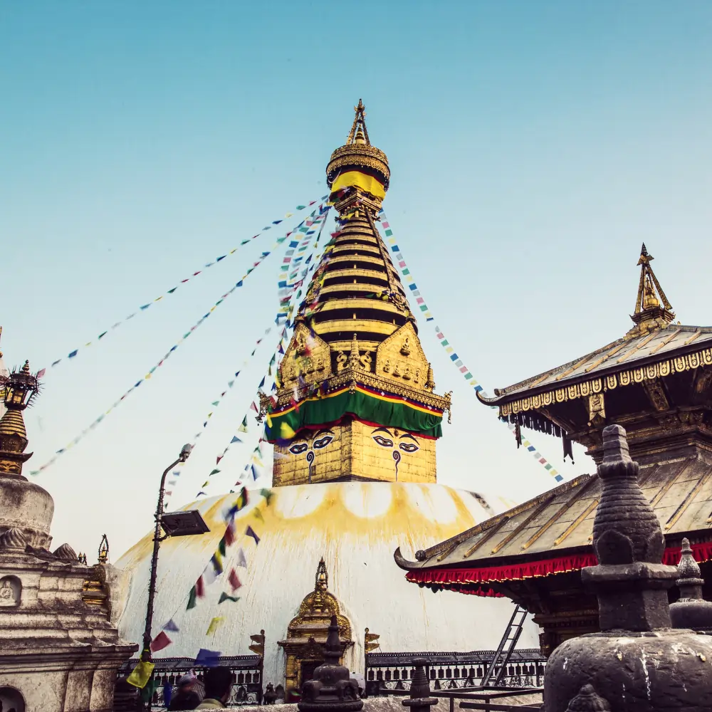 Vaishnavi Tour and Travels